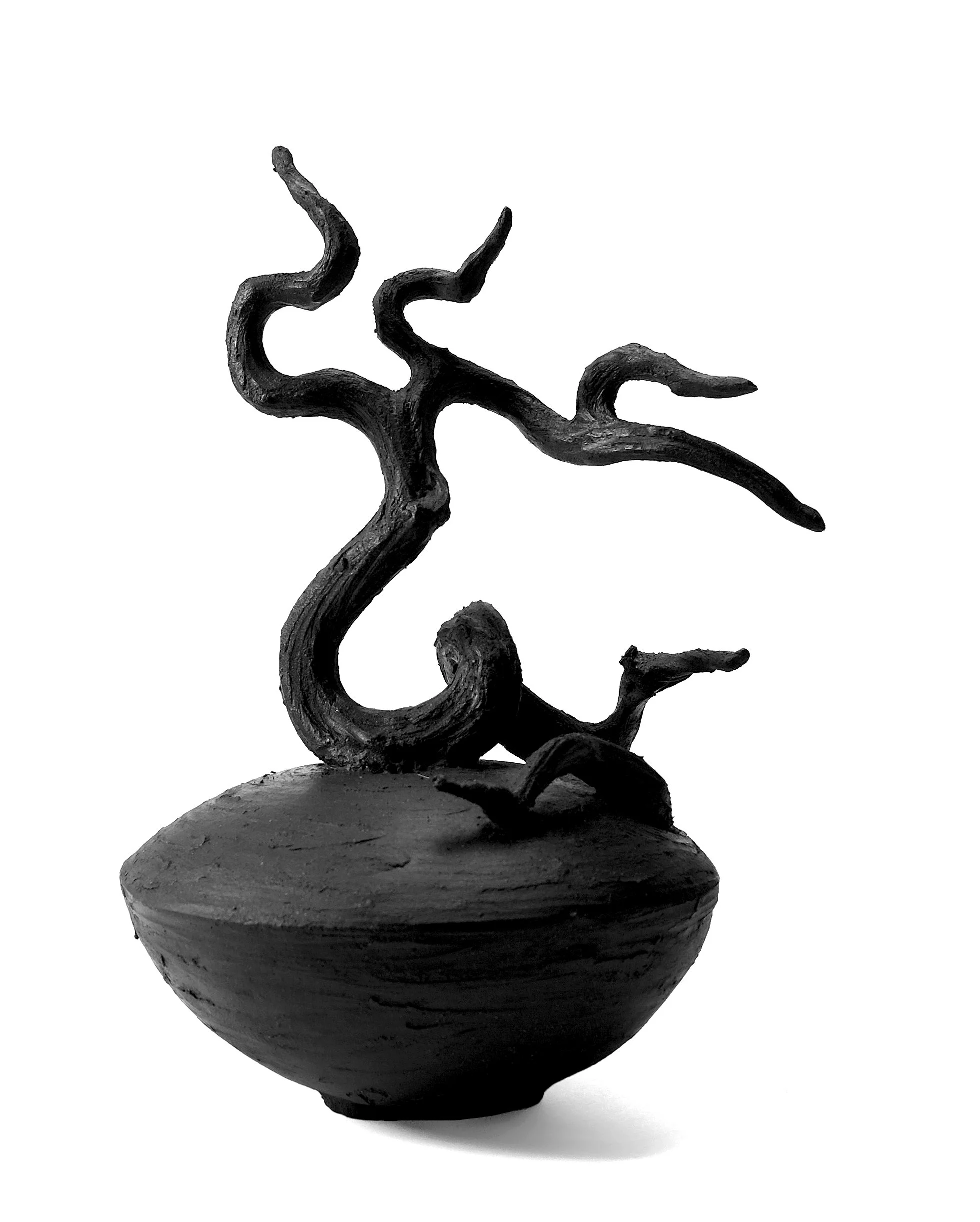 Bonsai Vine - No 114 — Beverly Morrison
